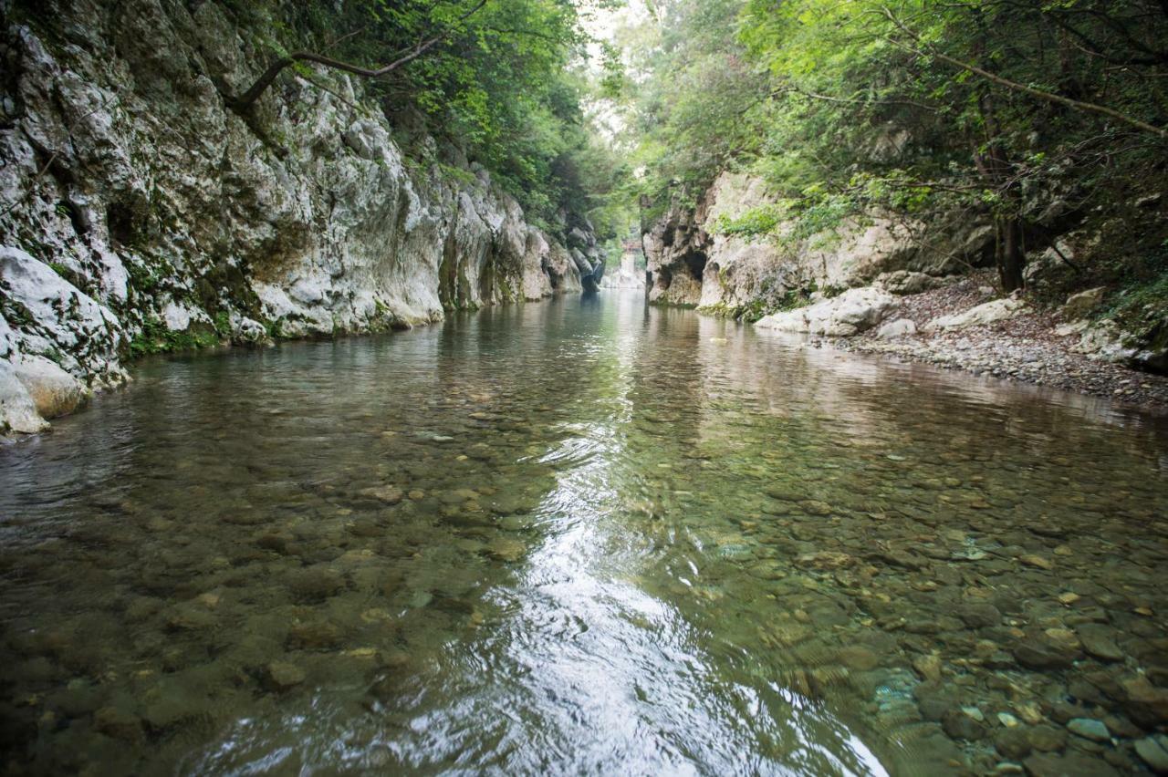 Bed and Breakfast Al Vicolo Del Cilento Felitto Экстерьер фото
